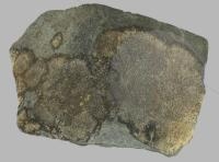 Opération {0}